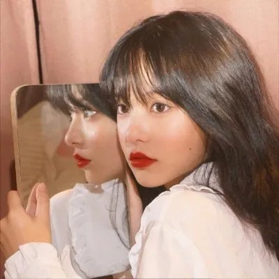 忍冬玫瑰